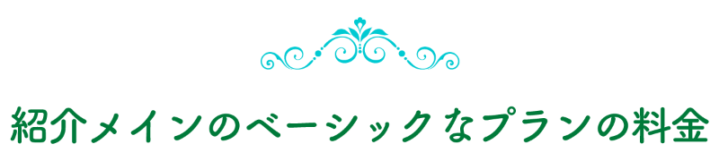 紹介メインのベーシックなプランの料金