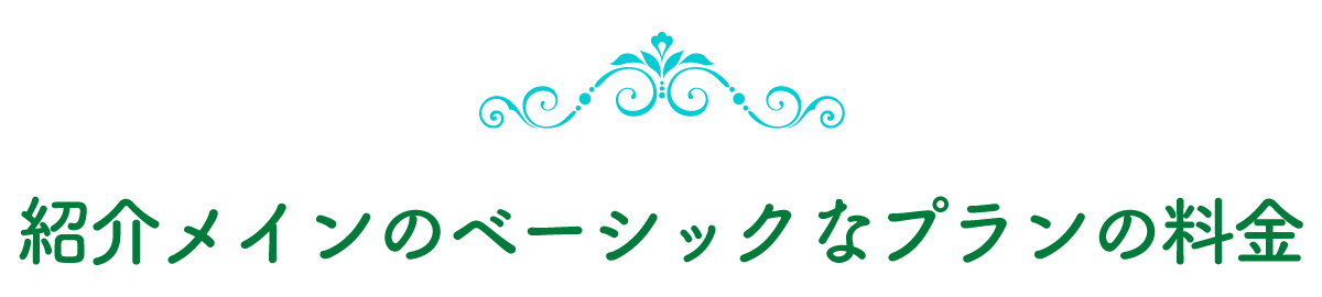 ベーシックなプランの料金
