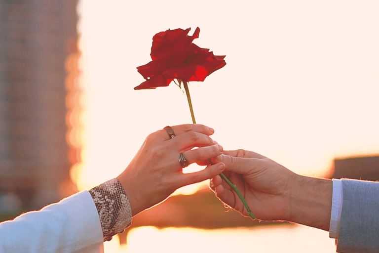 【まとめ】結婚相談所はぶっちゃけ自分に合う所を選ぶのが重要