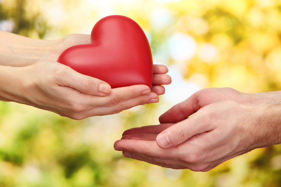 【まとめ】デートを断られたら相手の気持ちを見極めて次のステップへ