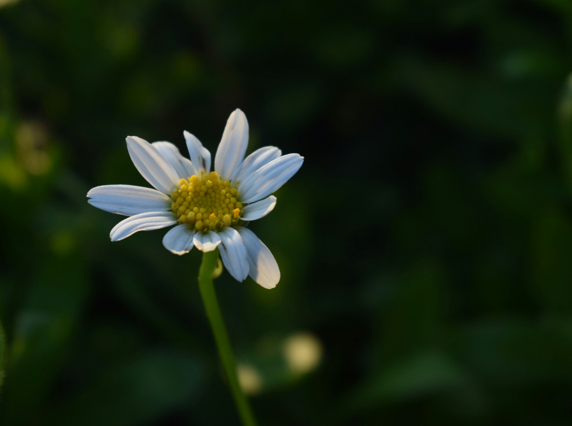 憧れだけではダメ？幼馴染との結婚で考えられるデメリット
