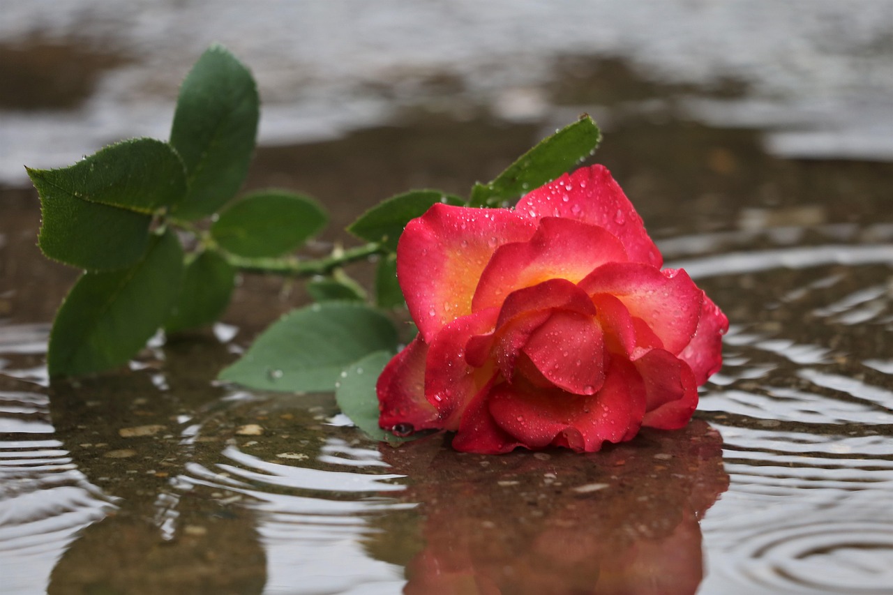 50代の恋愛で避けたいNG行動と注意点