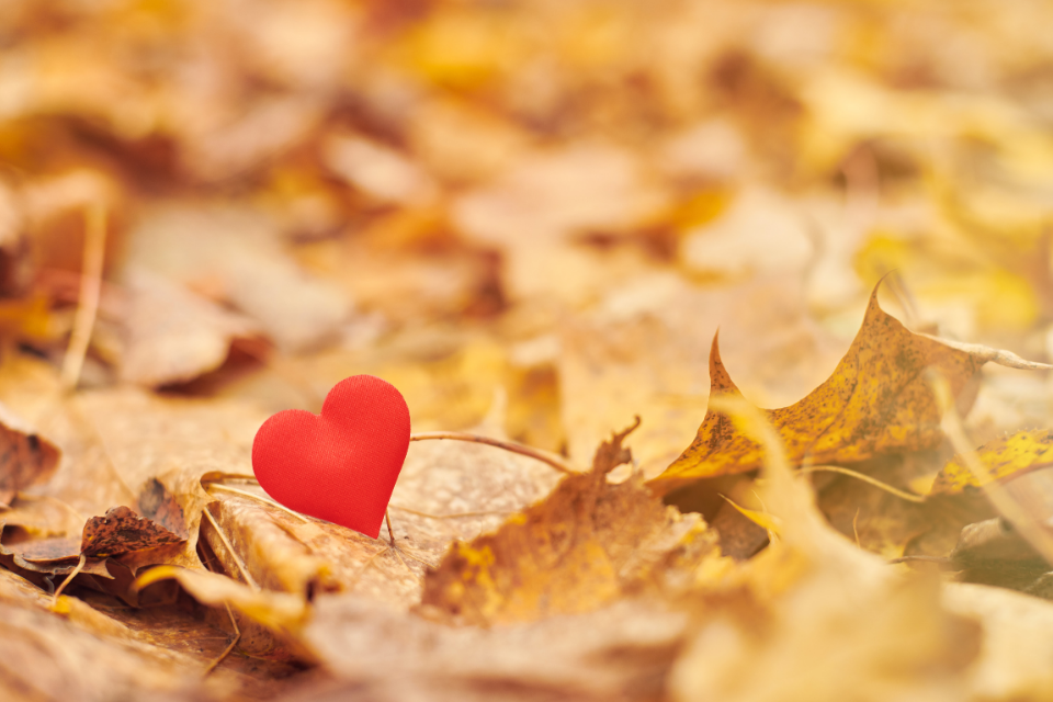 好きな人に好きな人がいるときの心理