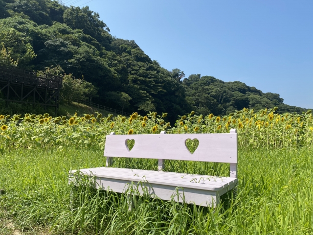 【要注意】思わせぶりと本気サインは別物！脈なしサインを見分けるコツ