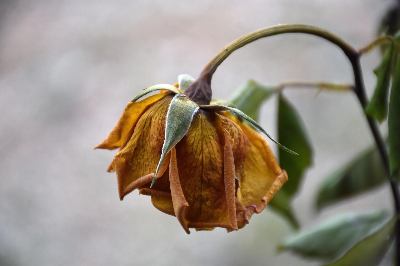 結婚できるか不安になる瞬間は？