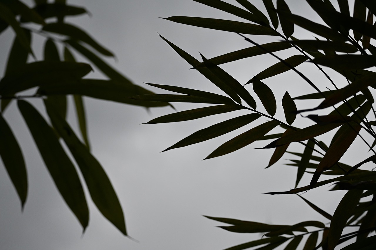 「不倫が辛い」「しんどい」と感じる5つの要因