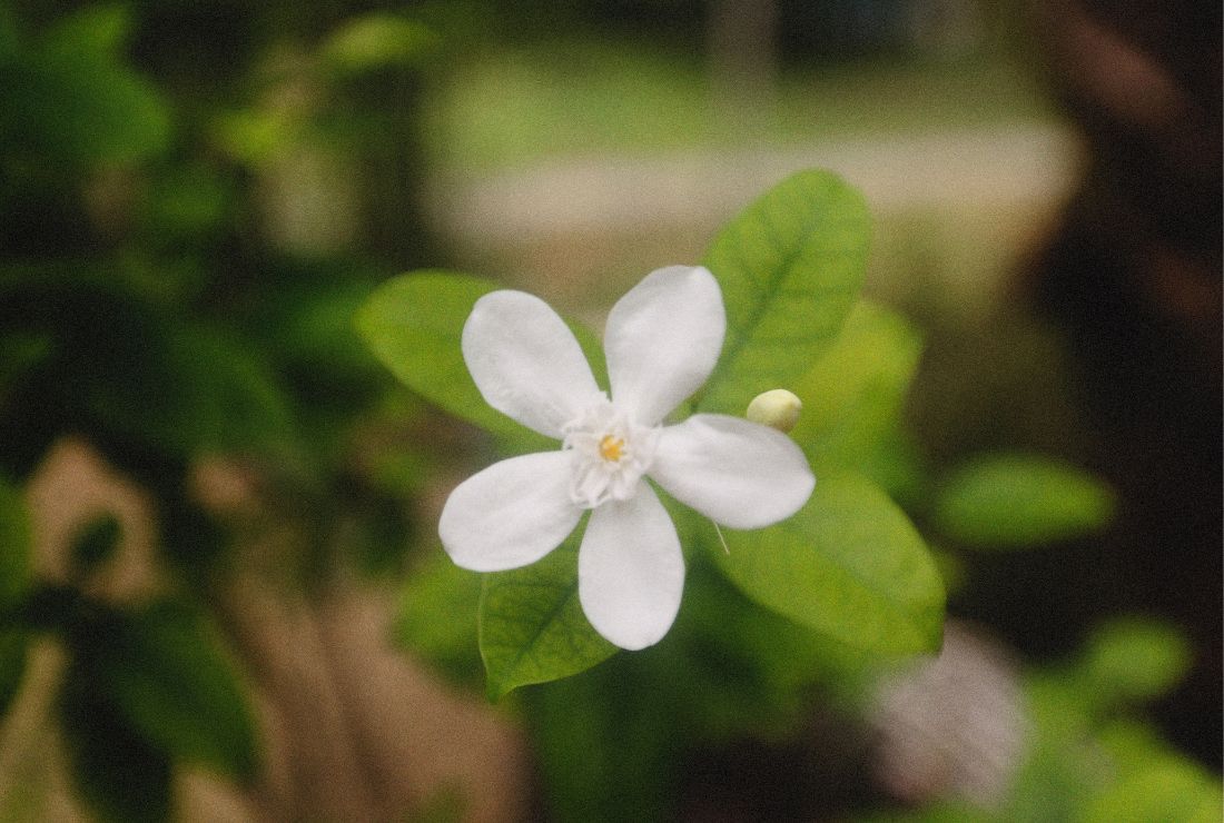 恋愛で未練が残ってしまう原因5選