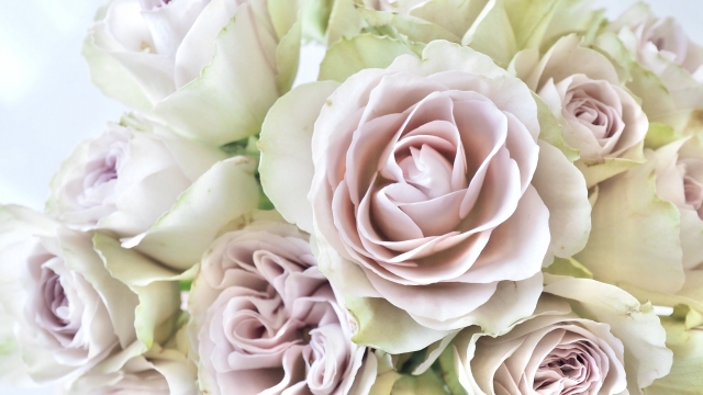 【まとめ】「結婚不適合者かも」と感じても、諦めなくて大丈夫