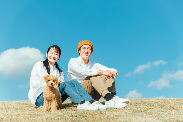 ロールキャベツ系男子の恋愛傾向