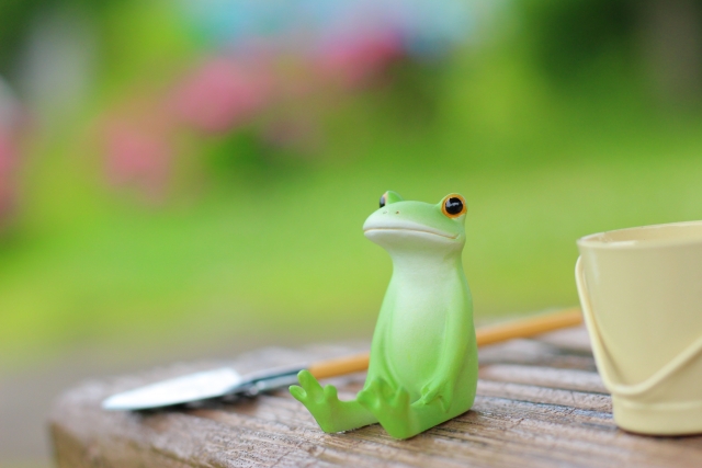 蛙化現象とは？まずは意味と由来を正しく理解