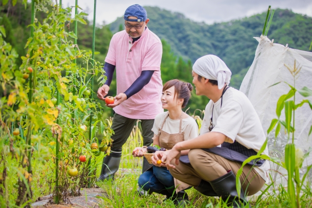 農家に嫁ぐとどんな暮らし？｜農家との結婚生活