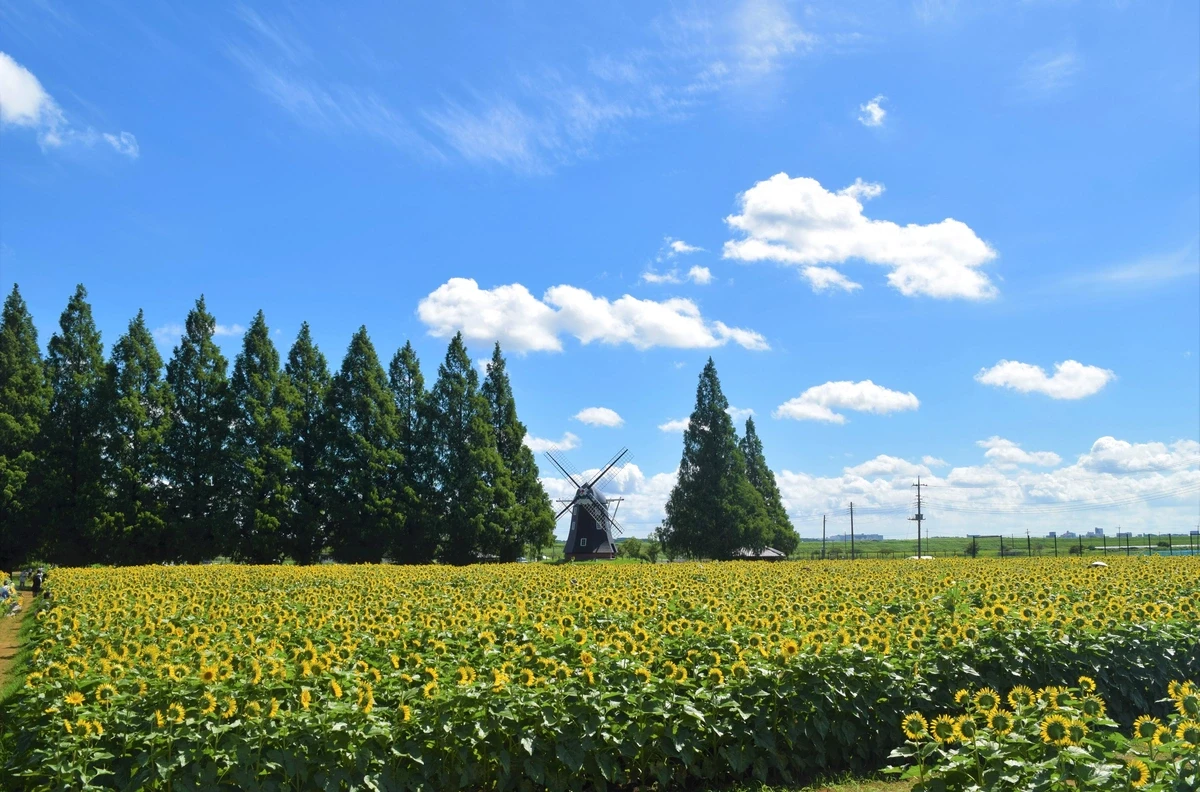 【千葉・柏】あけぼの山農業公園