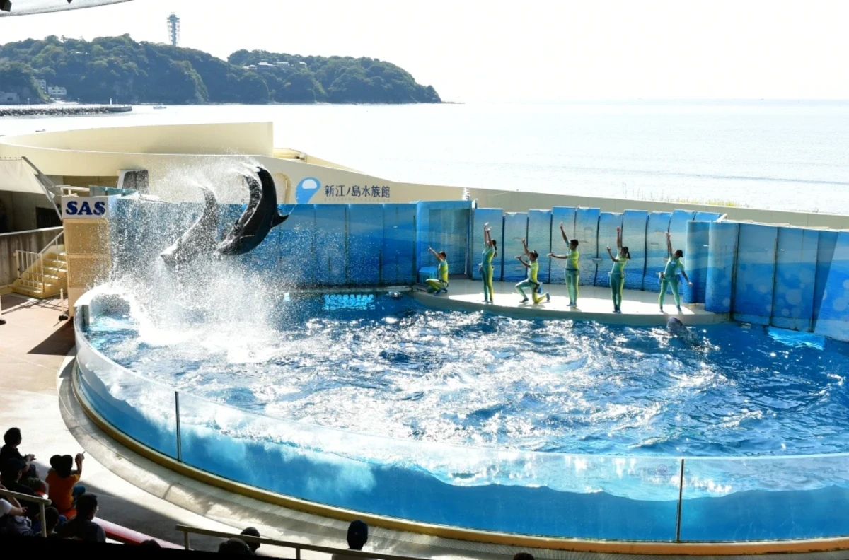【神奈川・江の島】新江ノ島水族館