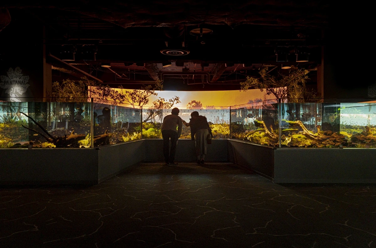 【神奈川・川崎】カワスイ 川崎水族館