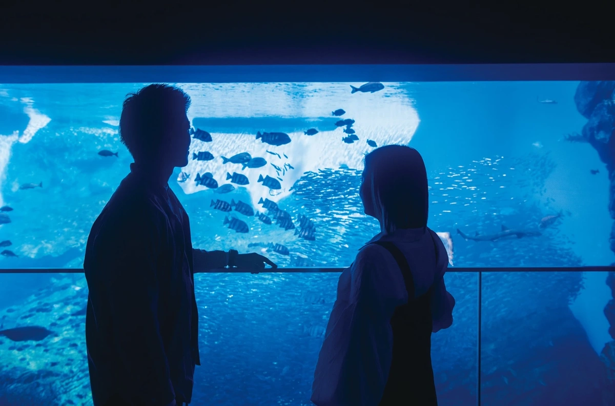 【宮城・仙台】仙台うみの杜水族館