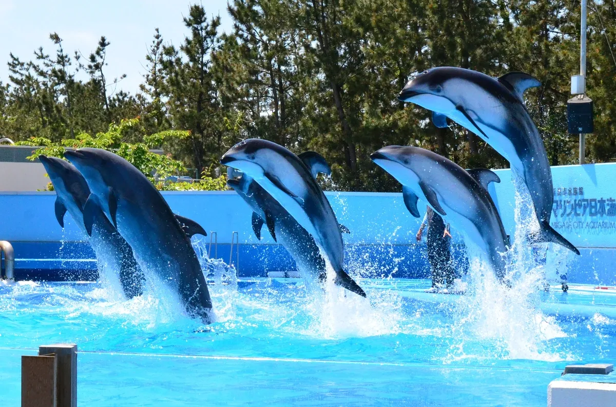 【新潟・日本海沿岸】新潟市水族館 マリンピア日本海