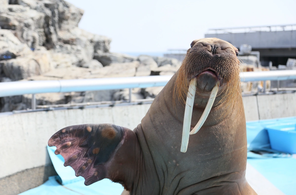 【大分・別府】大分マリーンパレス水族館「うみたまご」