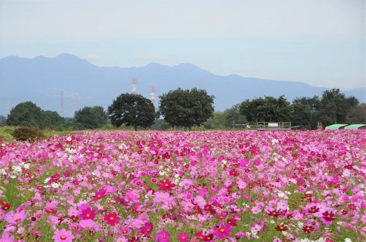 【栃木・高根沢】鬼怒グリーンパーク