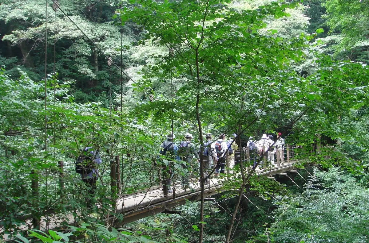 【東京・高尾】高尾山