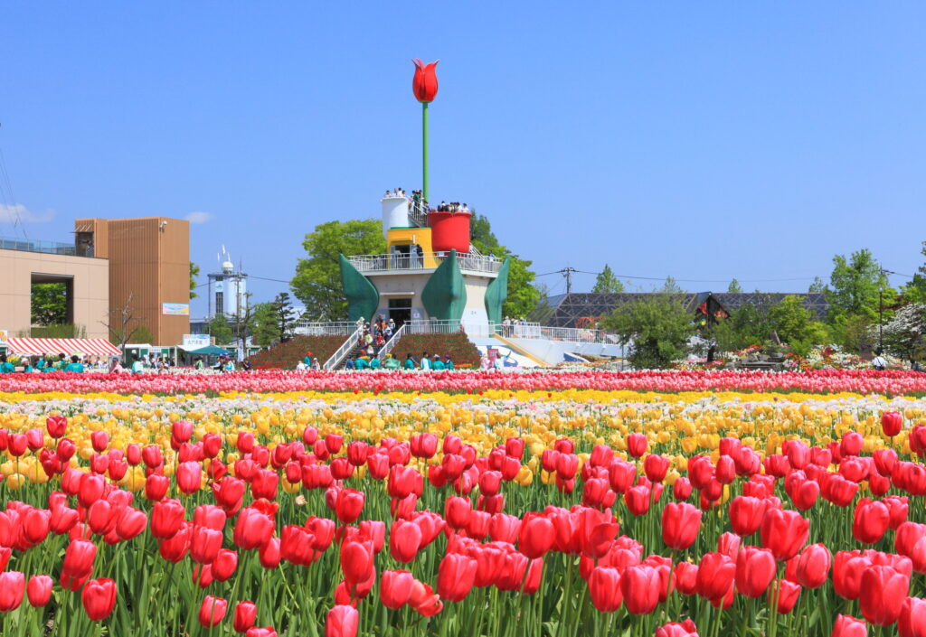 砺波チューリップ公園