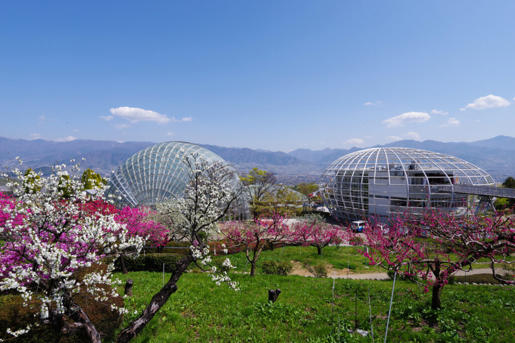 笛吹川フルーツ公園