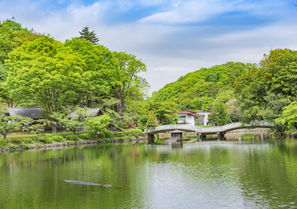 薬師池公園