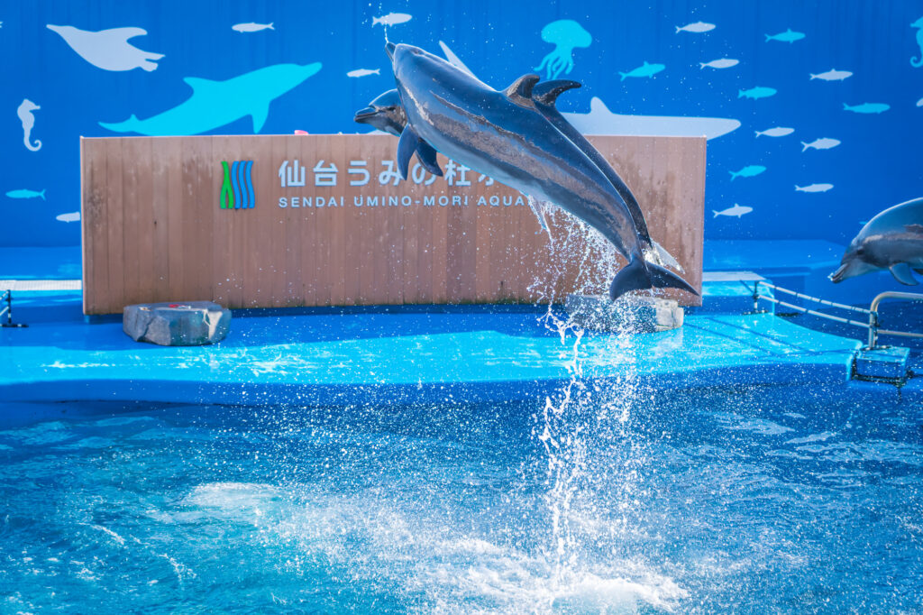 仙台うみの杜水族館