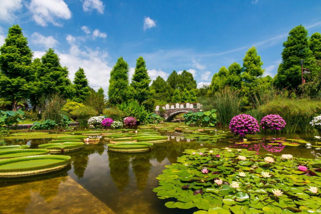 草津市立水生植物公園みずの森