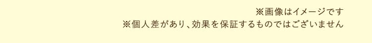 ※画像はイメージです※個人差があり、効果を保証するものではございません
